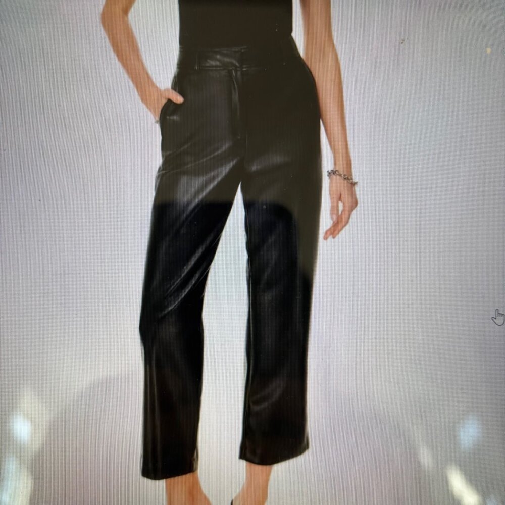 Aritzia Babaton Faux Leather Pants